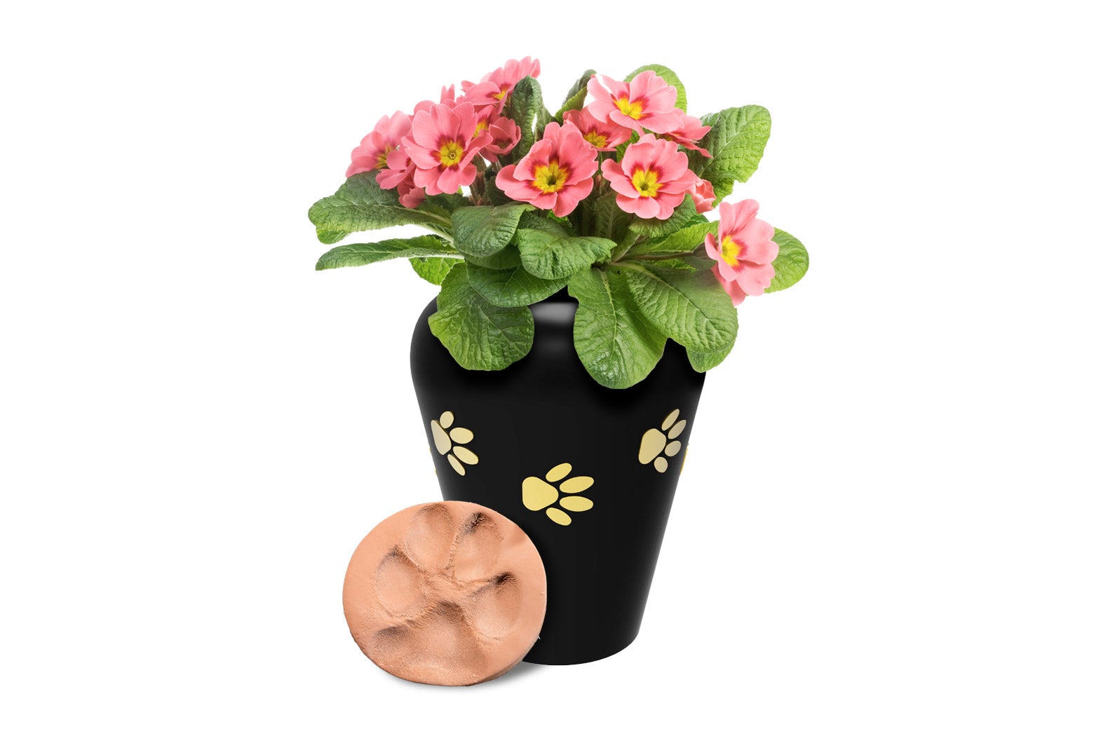 A black urn with small paw prints decorating it, with a plant with pink flowers growing out of the top.