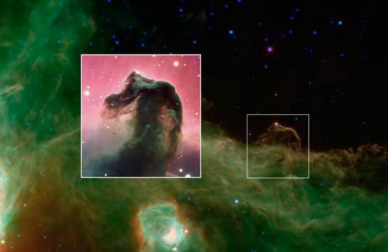 Horsehead