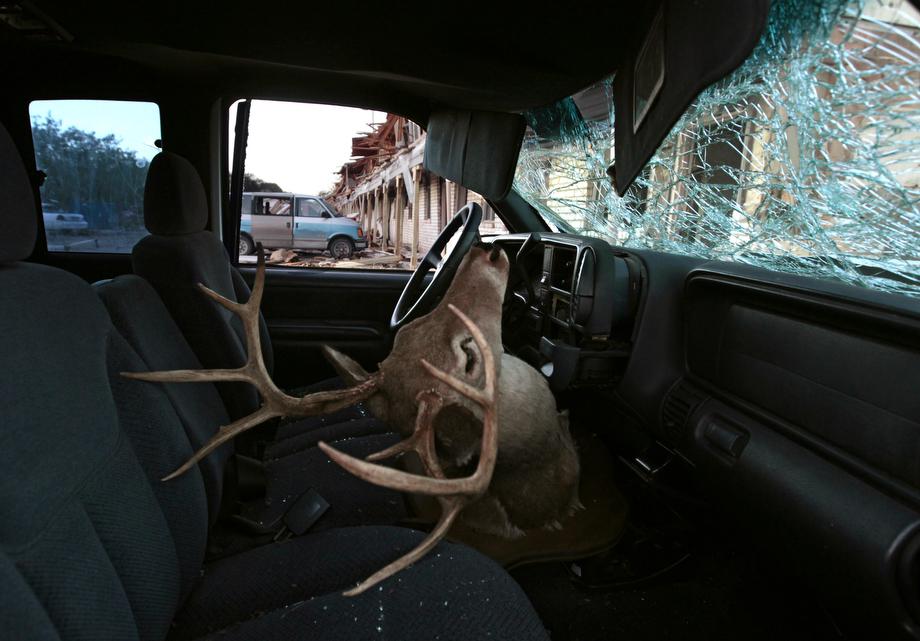 A deer head mount sits inside a damaged car parked next to the apartment complex that was severely damaged by yesterday's explosion at the fertilizer plant on April 18, 2013 in West, Texas.