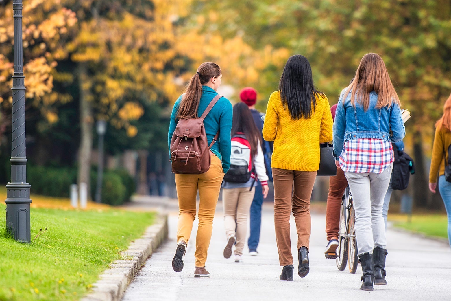 A group of young women walk away down a path on a college campus.