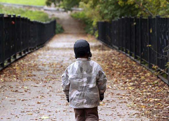 Little boy walking in autumn park.