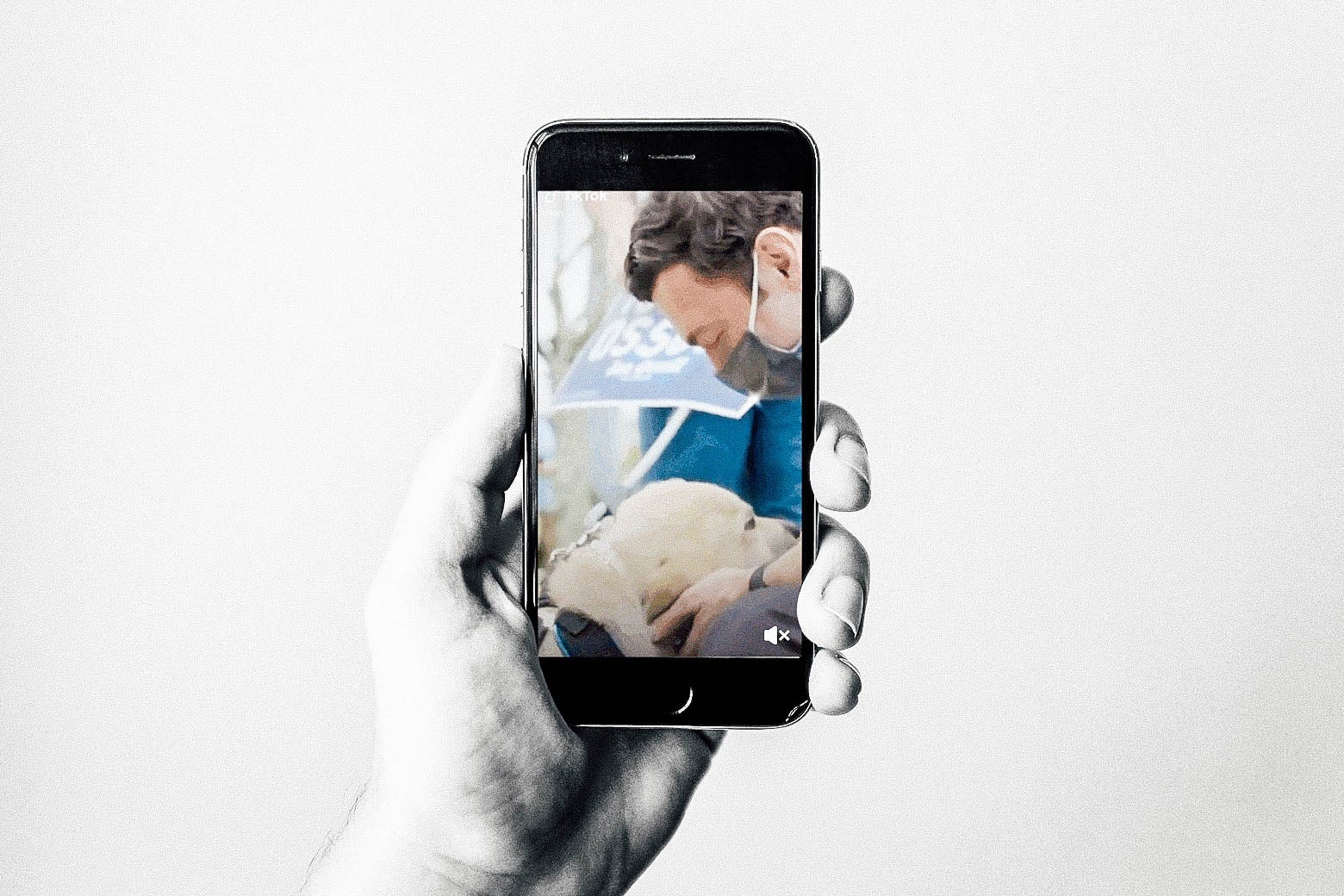 Jon Ossoff's TikTok, reviewed: Grading the Georgia Senate candidate's attempt to win over young voters. - Vimarsana News