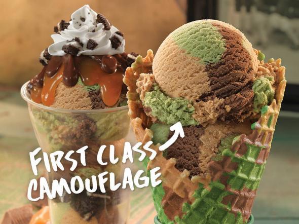 Camouflage Ice Cream Baskin Robbins Great Idea Poor Execution