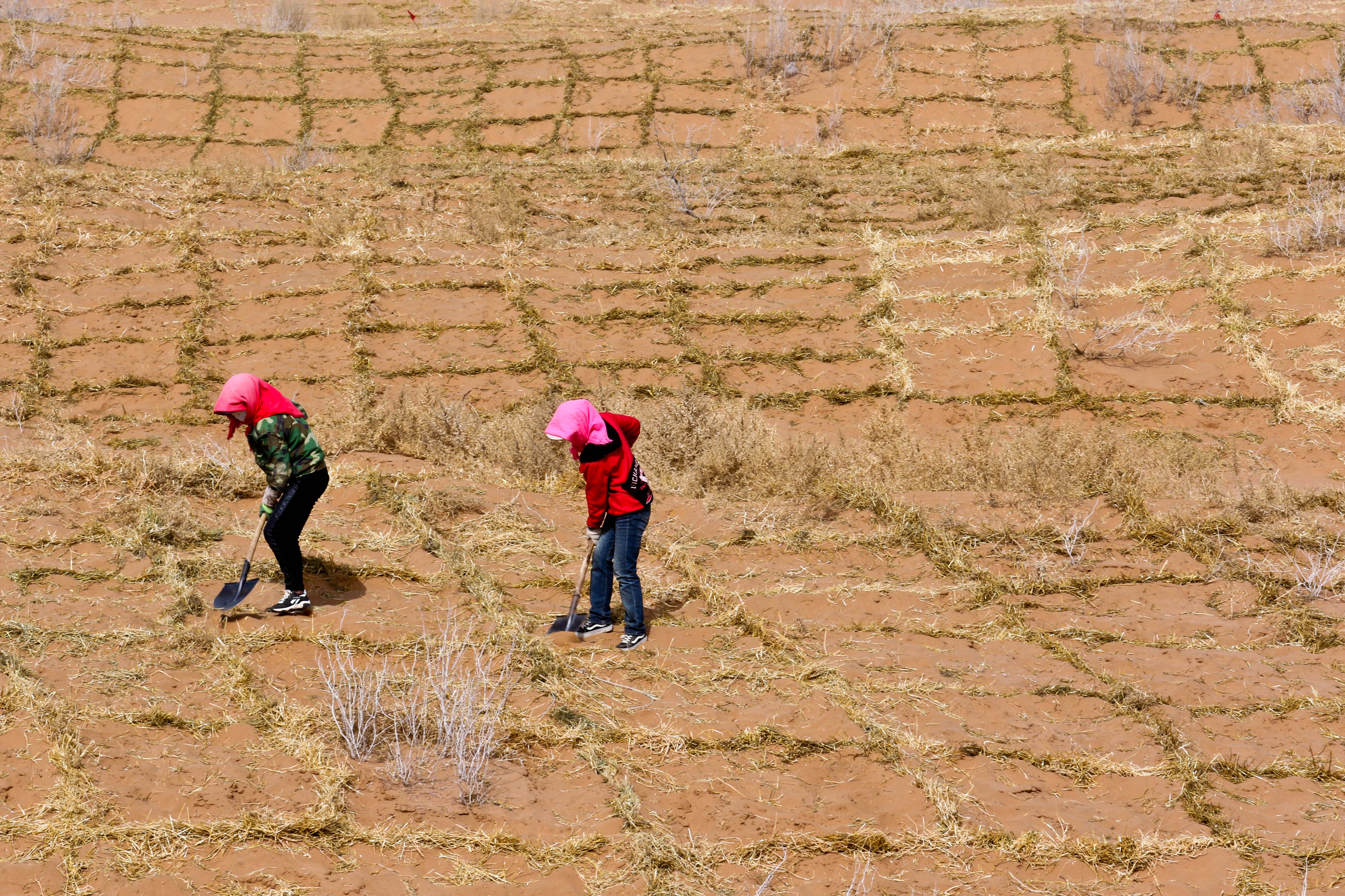 Two women use shovels to work parched-looking land.