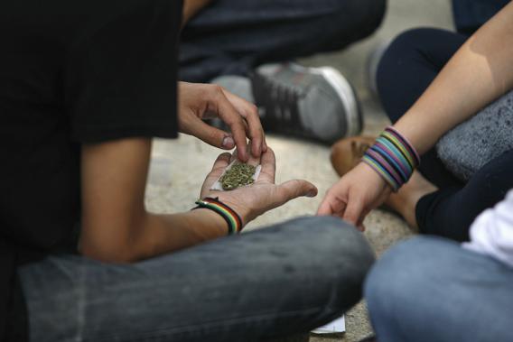 A man holds shredded marijuana in the palm of his hand during a 4/20 rally to demand the legalization of marijuana outside the Senate building in Mexico City.