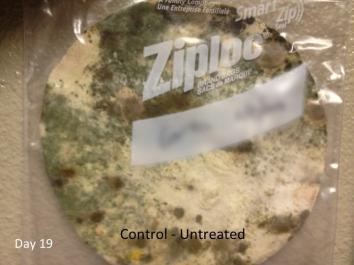 MicroZap: New technologies help stop bread molding for longer and