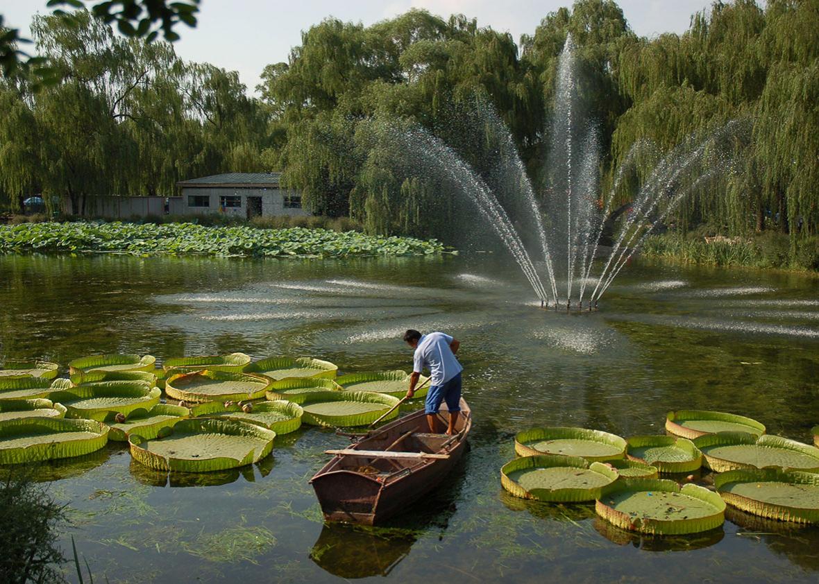 A man stands on a boat in Beijing’s Summer Palace, August 16, 2010.