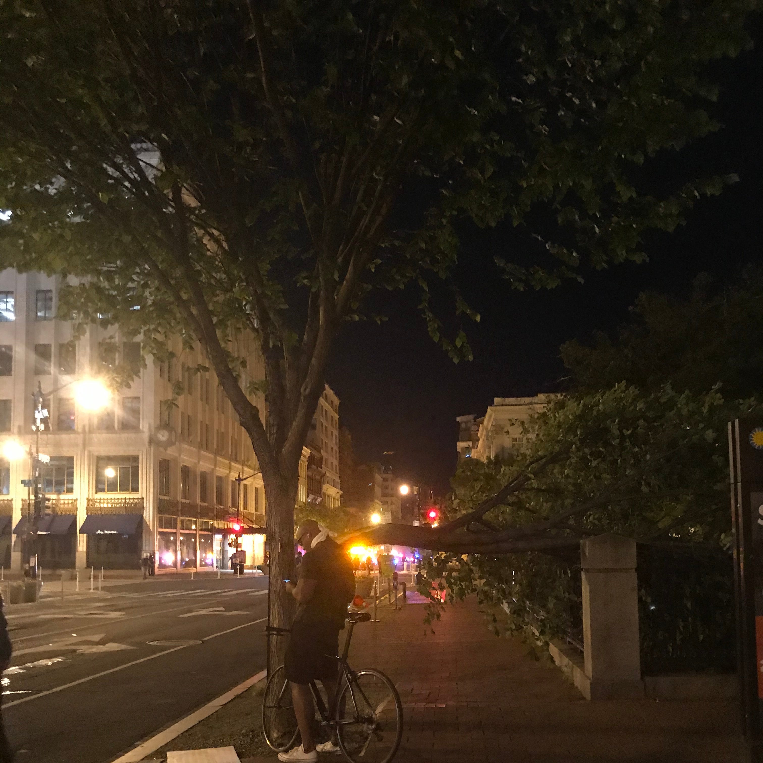 A man stands beside his bike in front of a tree in downtown D.C. A snapped limb dangles from the tree.