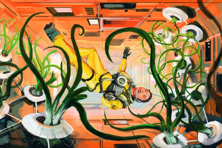 Illustration of Shengnan floating through a module hallway, surrounded by vast growing leek plants.