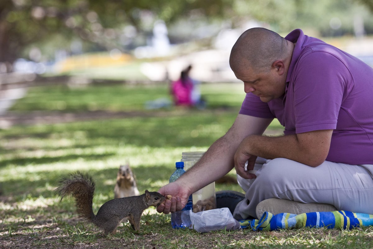 Why Are There So Many Squirrels In Cities The Morality Campaign To Make Boys Good
