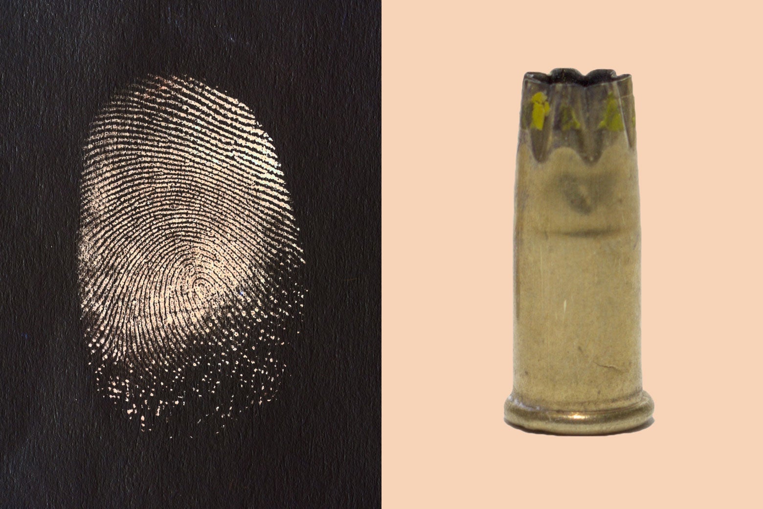 Forensic science accuracy: Firearm and fingerprint comparisons are less reliable than they seem. - Vimarsana News