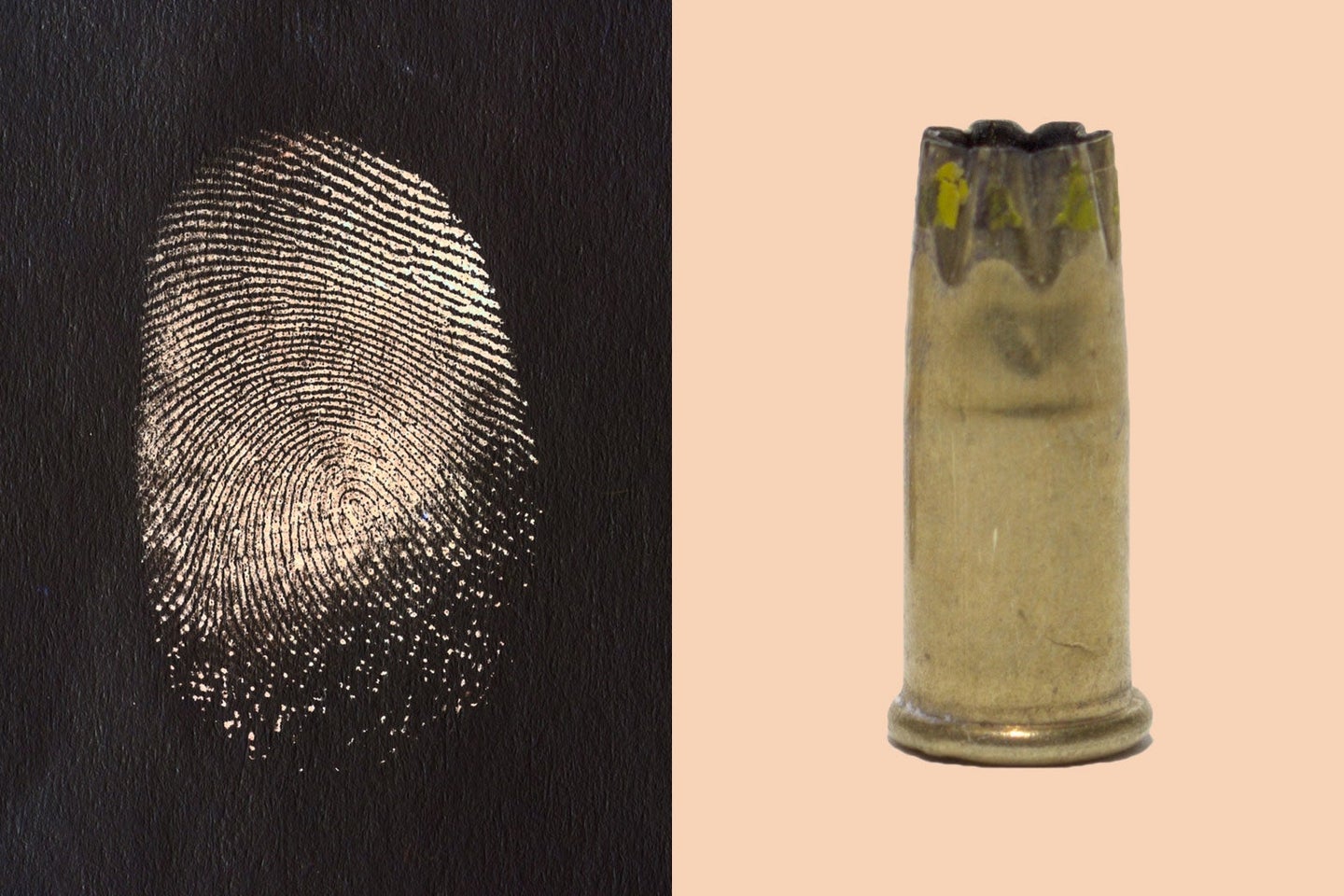 Forensic science accuracy Firearm and fingerprint comparisons are less