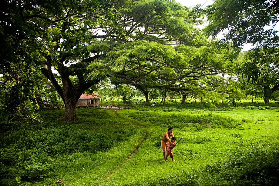 CABARATE, DOMINICAN REPUBLIC. A dad teaches his young son the correct batting position in a lush green yard in front of their modest home.