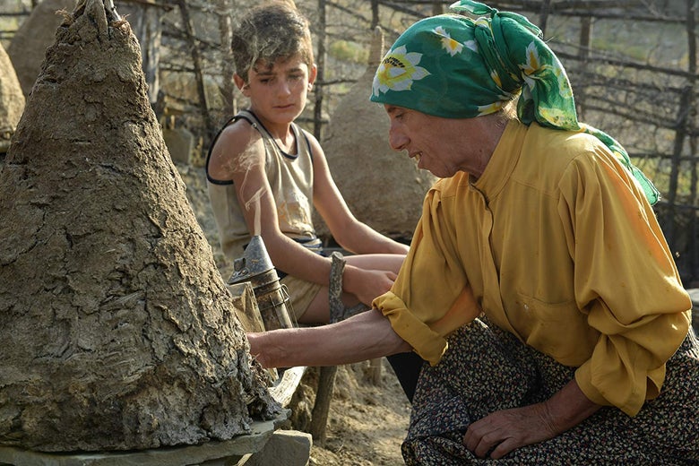 A woman wearing a yellow shirt and a bandana in her hair touches a beehive while a young boy looks on.