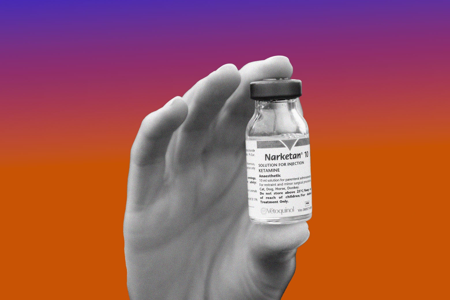 This Is Your Brain On Ketamine