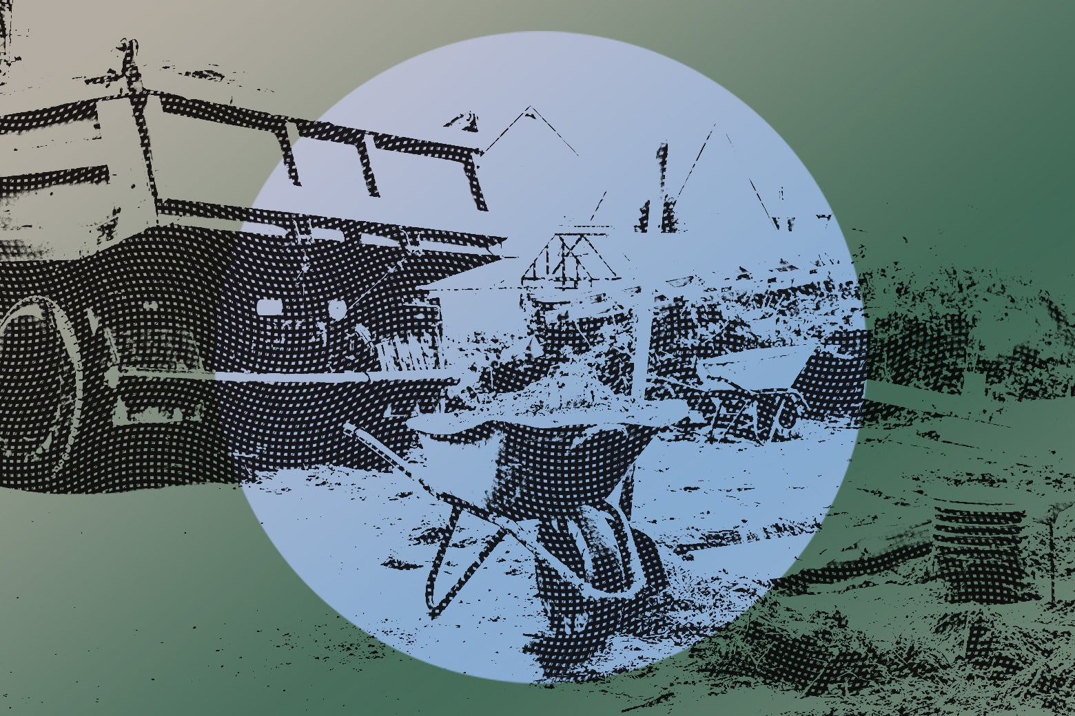 My Whole Neighborhood Got Scammed By a Landscaper