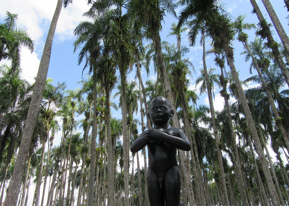 Paramaribo's Palmentuin Park.
