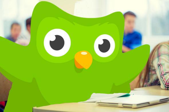 If Duolingo Is For Language-Learning, Why Do Many Users Cheat?