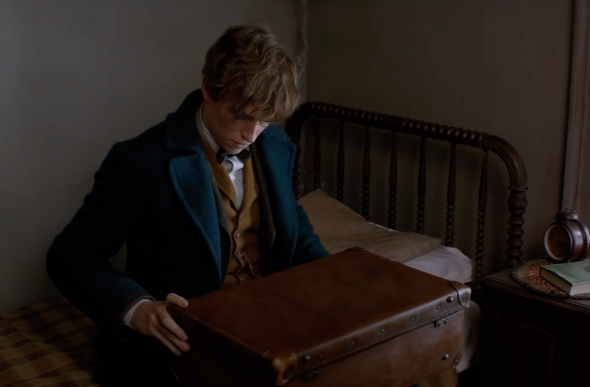 Eddie Redmayne in Fantastic Beasts and Where to Find Them.