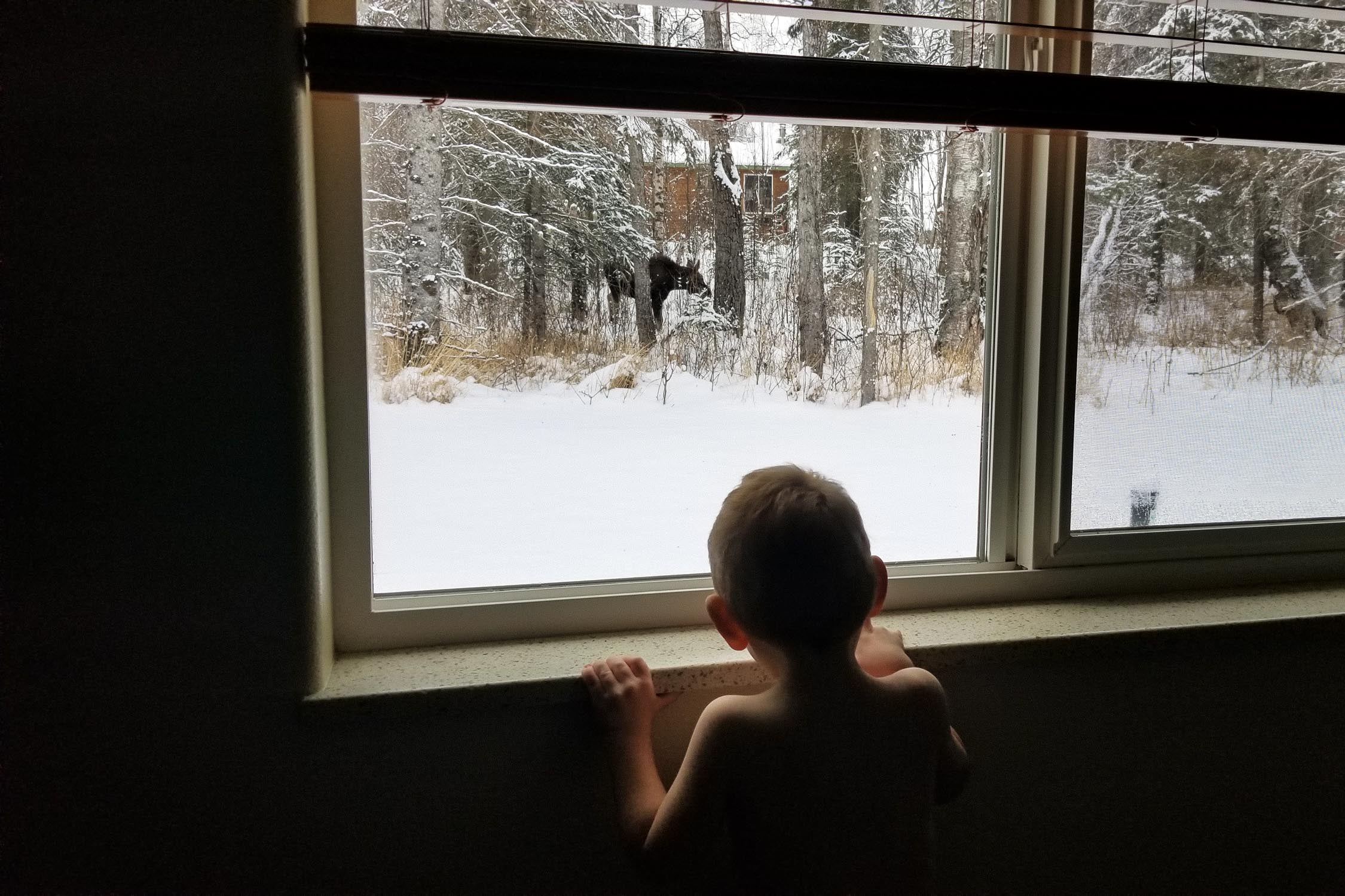 Young child looking out of window at an animal in the distance.