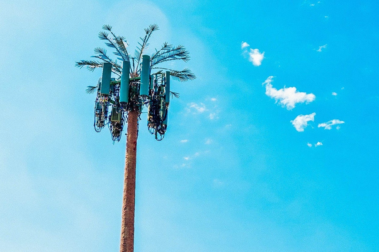 A palm tree that's also a cell tower