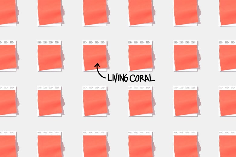 Swatches of Living Coral.
