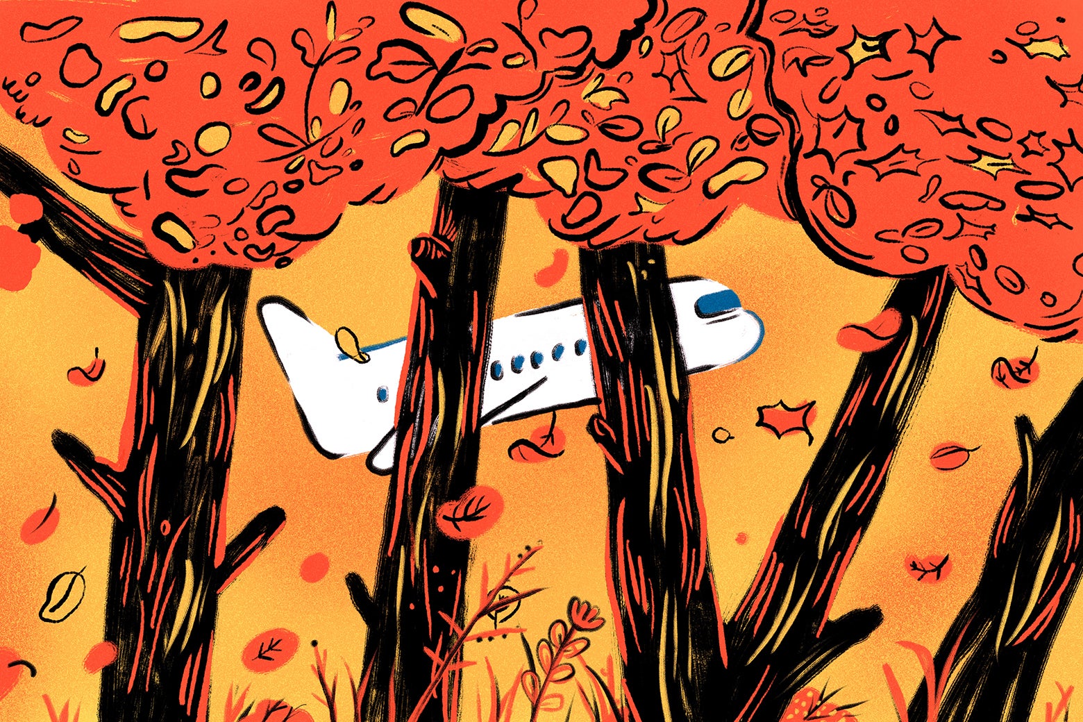 An airplane takes off behind orange-leaved autumnal trees.