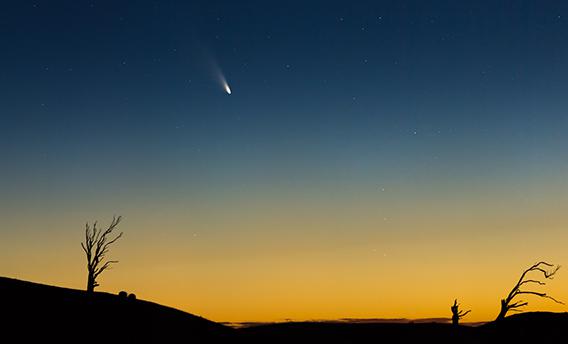 Comet Pan-STARRS, photographed by Phil Hart