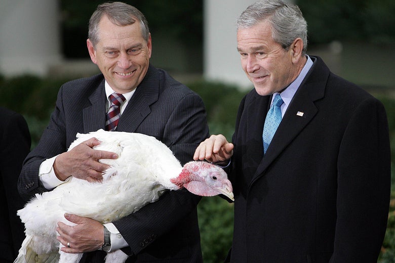 George W. Bush bows his head and gives a sheepish grin as he extends his hand to pet the head of a turkey being held by a man next to him.