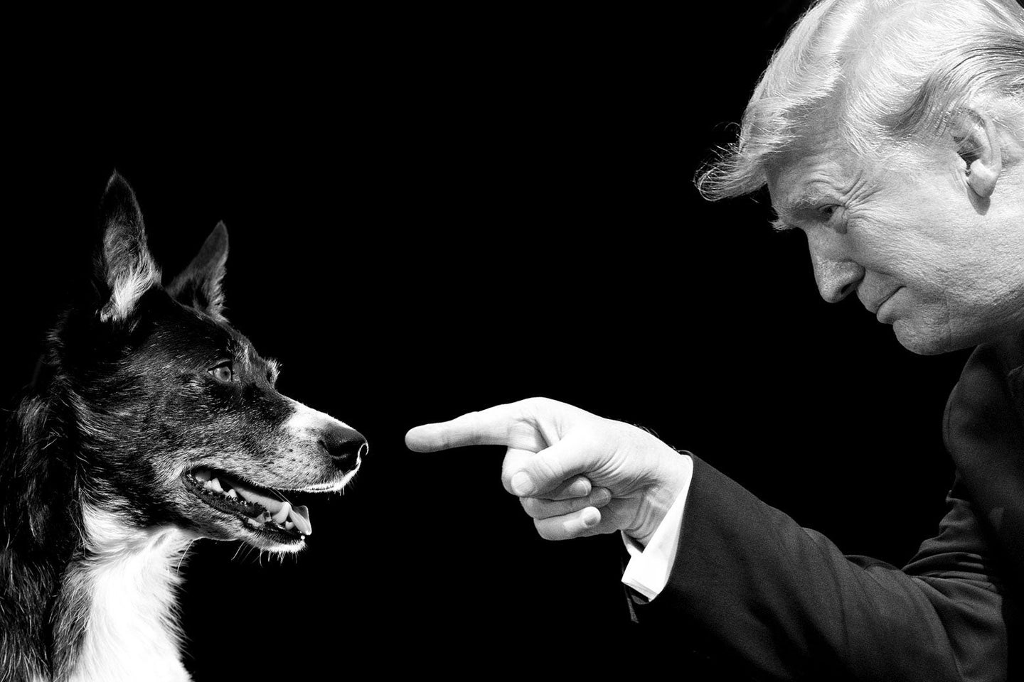 What is the deal with Donald Trump and dogs?