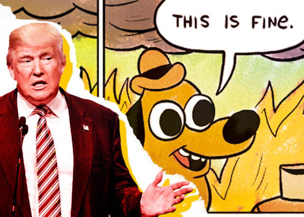 pop this is fine dog