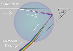 Light refracting in a raindorp to form a rainbow.
