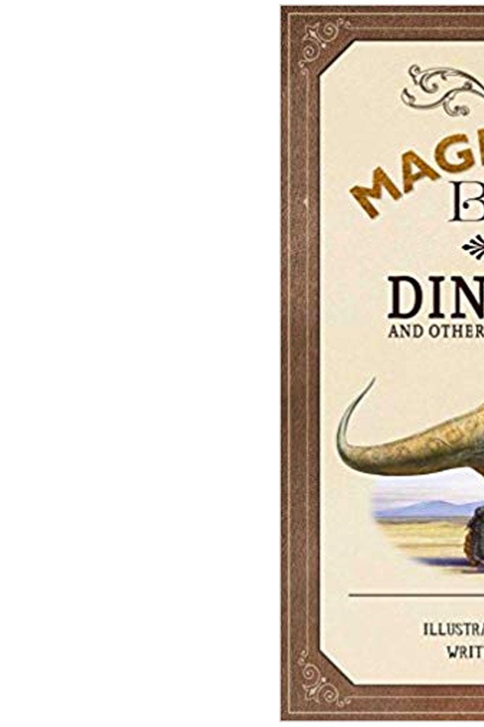 he Magnificent Book of Dinosaurs and Other Prehistoric Creatures
