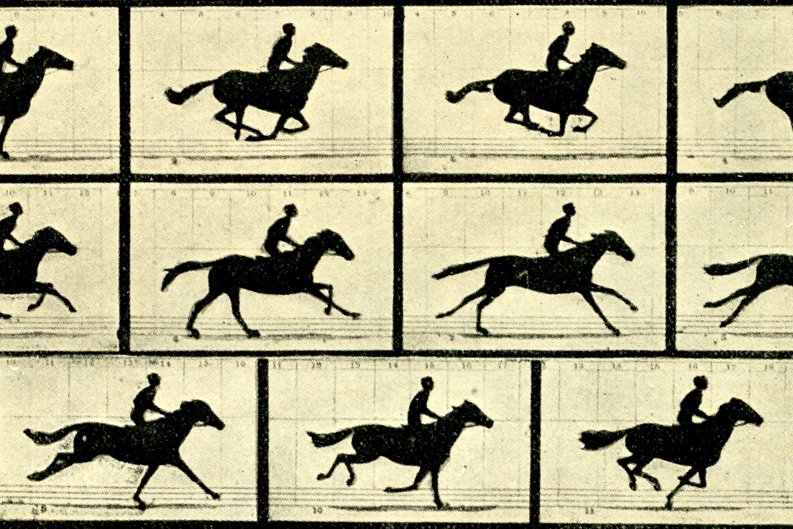 Black-and-white stills of a horse galloping down a track.