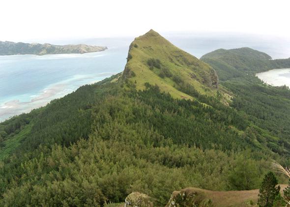 The second highest point on the island of Mangareva, Mt. Mokoto. Almost all the vegetation in this photo is not native to the island, representing the dramatic transformation wrought by humans.