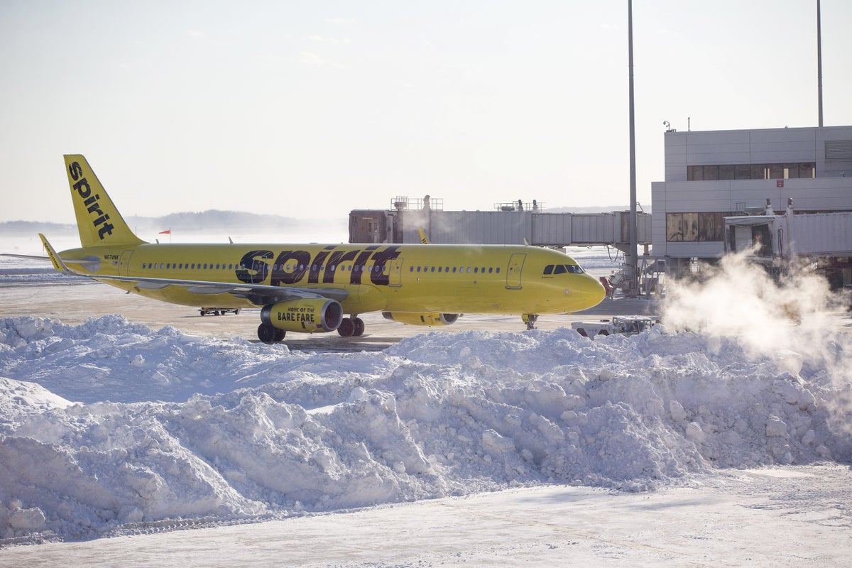 Student says she flushed 'emotional support hamster' after Spirit Airlines  denied passage, Air transport