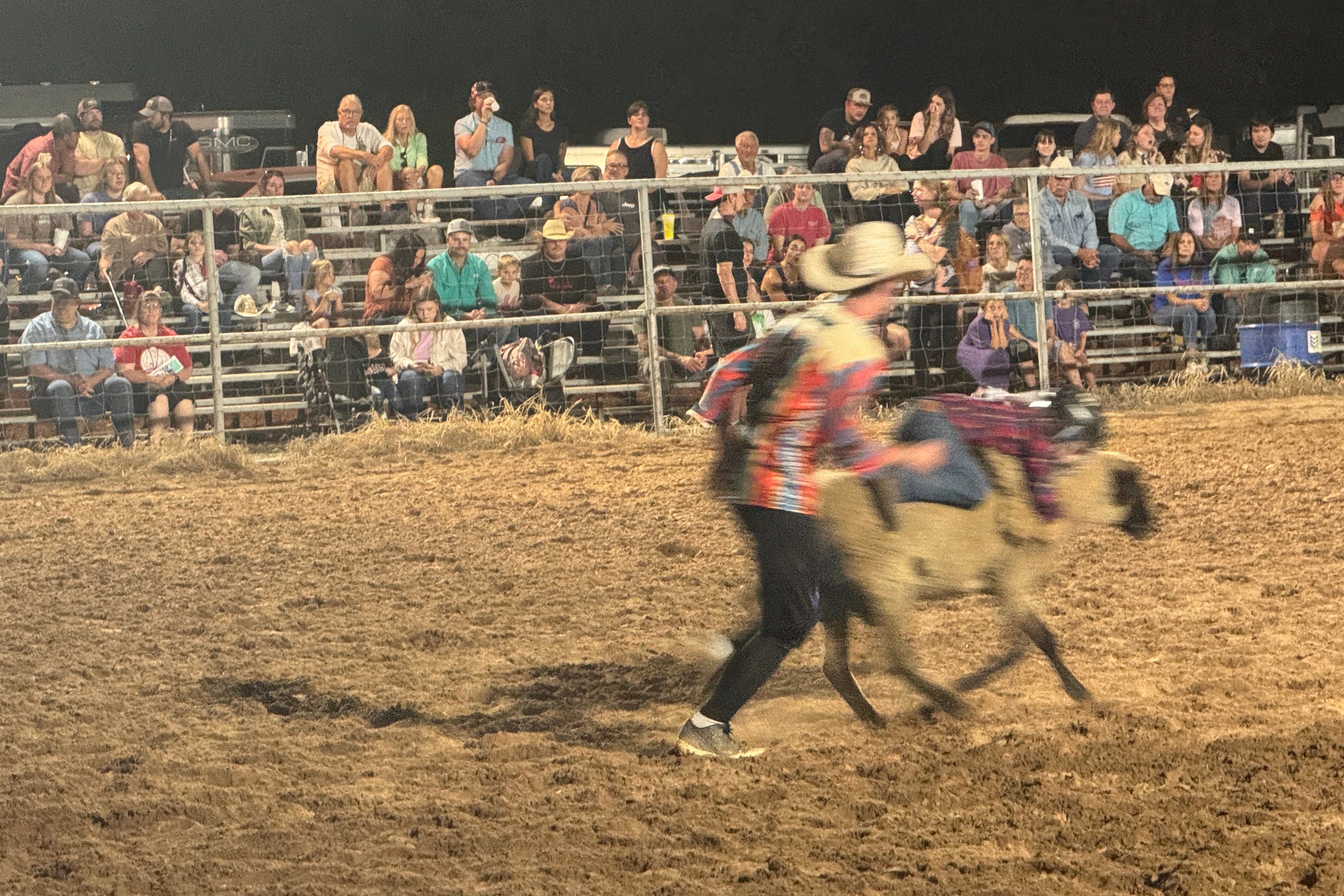 A rodeo arena with sheep in it.