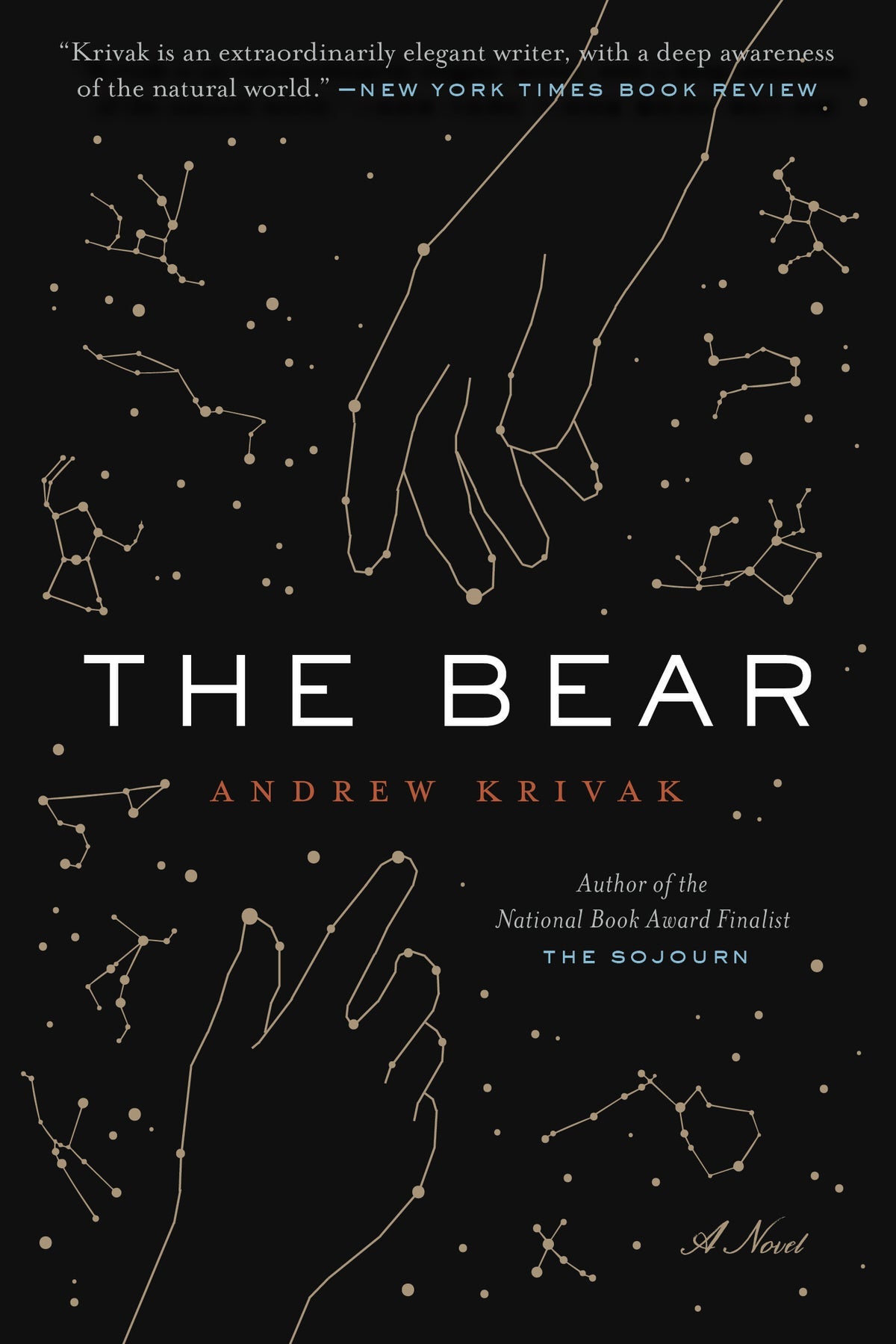 The cover of The Bear features constellations, including of two hands reaching for each other.