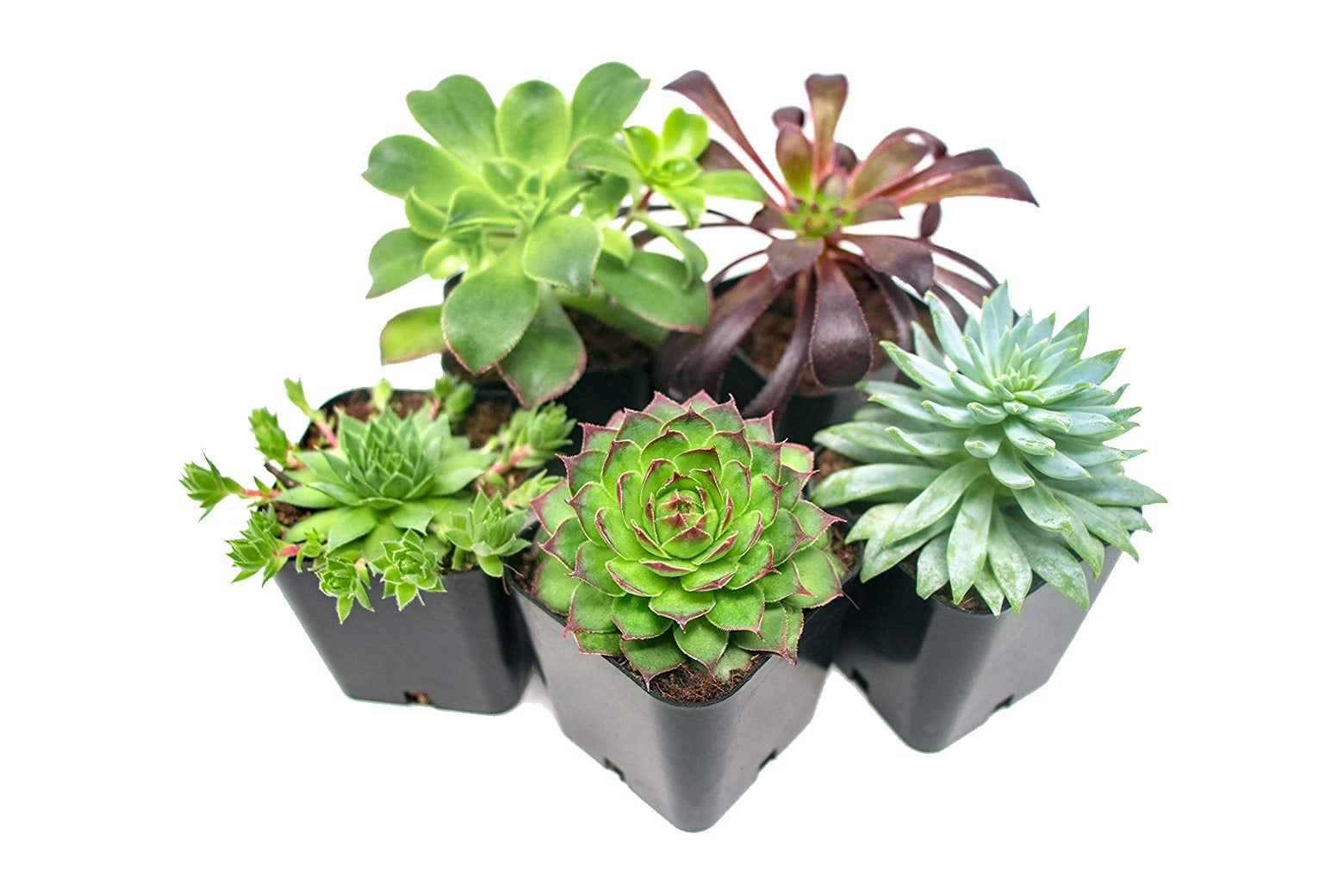 How to help a friend who’s grieving.