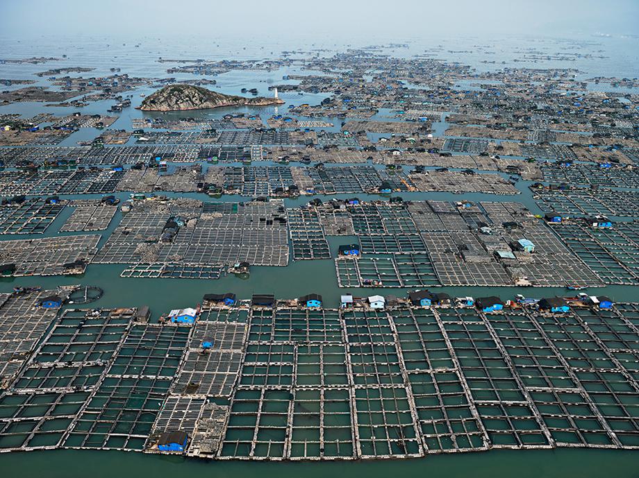 Marine Aquaculture #1, Luoyuan Bay, Fujian Province, China 2012 