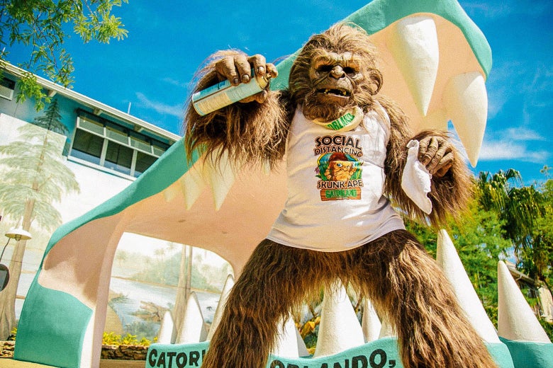 Amusement park reopening plans: Gatorland, Legoland.