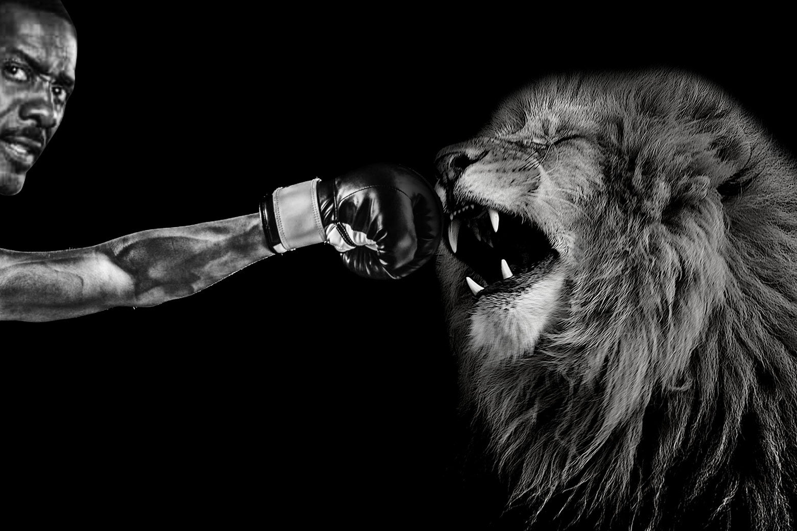 Lion Roaring: What Makes A Lion's Roar So Loud And Intimidating?