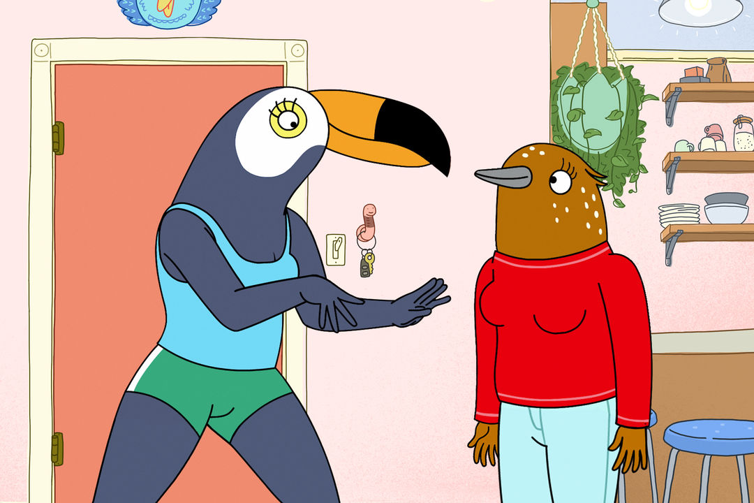 A cartoon toucan and cartoon songbird stand in a room.