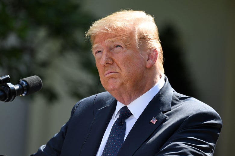 Judge Temporarily Halts Publication Of Mary Trump S Tell All Book