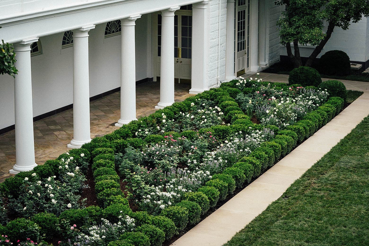 A view of the recently renovated Rose Garden at the White House