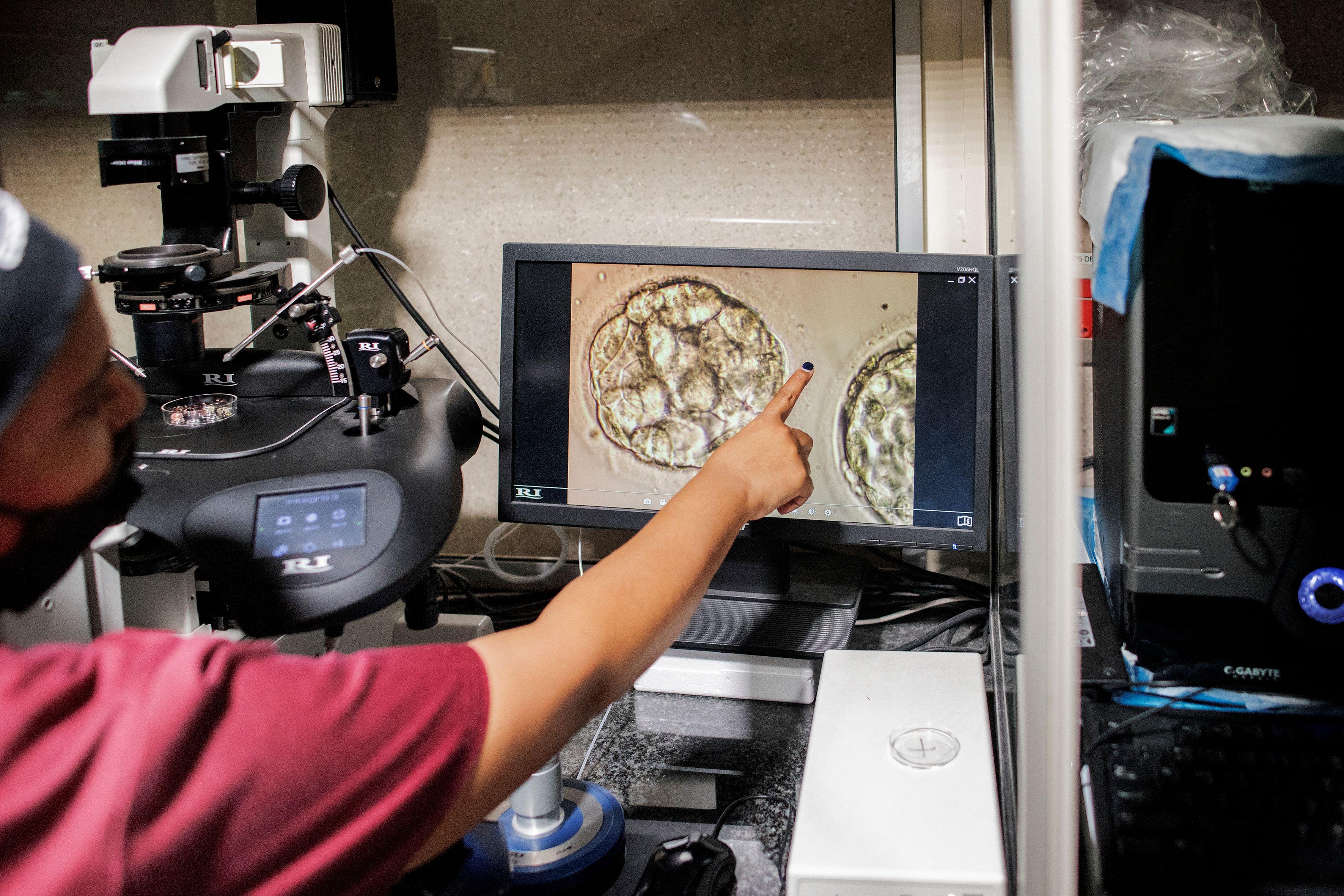 A person in scrubs points to blastocysts shown on a monitor surrounded by equipment in a fertility clinic lab