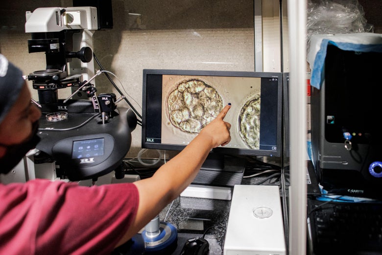 The Other Medical Treatment Endangered by the Fall of Roe The Other Medical Treatment Endangered by the Fall of Roe