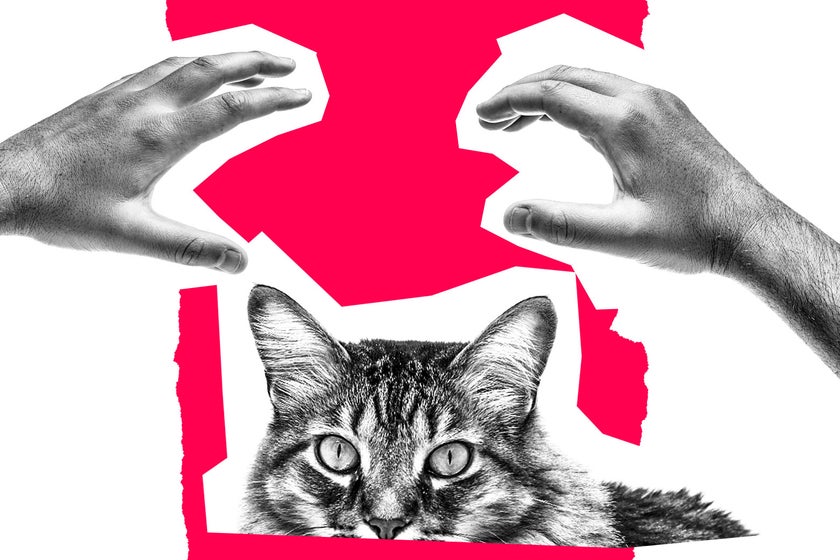 When your neighbors let their cats roam outside, and more advice from