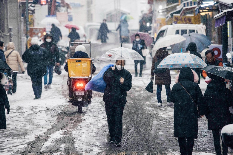 South Korea’s COVID Success Stems From an Earlier Infectious Disease Failure South Korea’s COVID Success Stems From an Earlier Infectious Disease Failure
