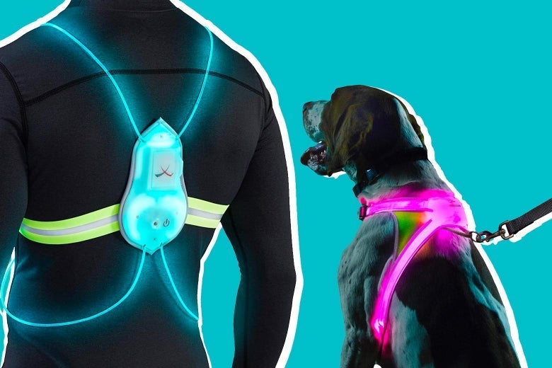 Person wearing the Tracer360 and dog wearing the LightHound vest
